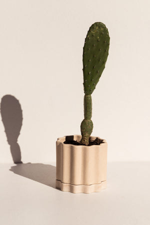 Ella Reweti small ceramic planter in buff colour on Makers' Mrkt Makers Market Melbourne