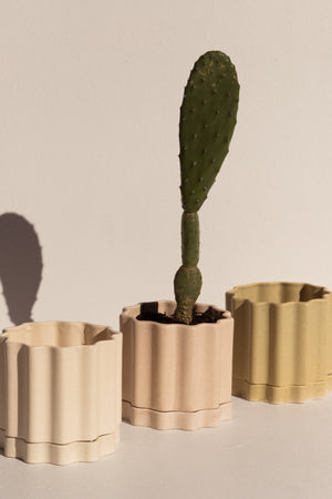 Ella Reweti small ceramic planter in buff colour on Makers' Mrkt Makers Market Melbourne
