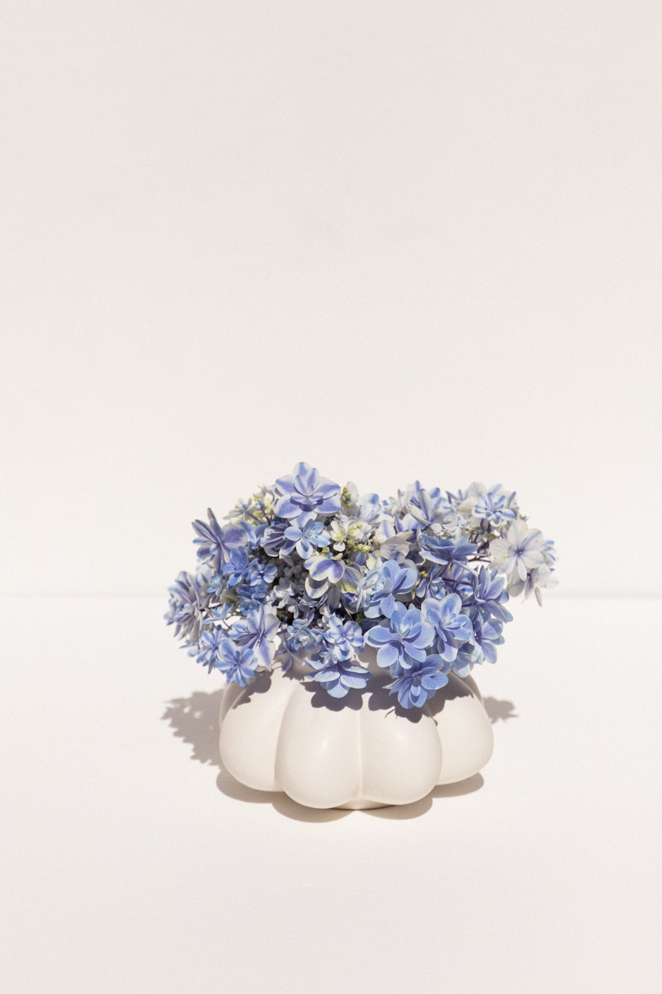 Severj Studio Istanbul white ceramic Garlic 1 vase on makers' Mrkt Makers Market Melbourne