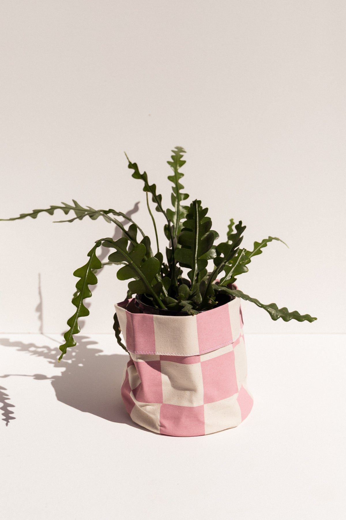 Lauren Brown Small planter in pink on Makers' Mrkt makers market Melbourne  