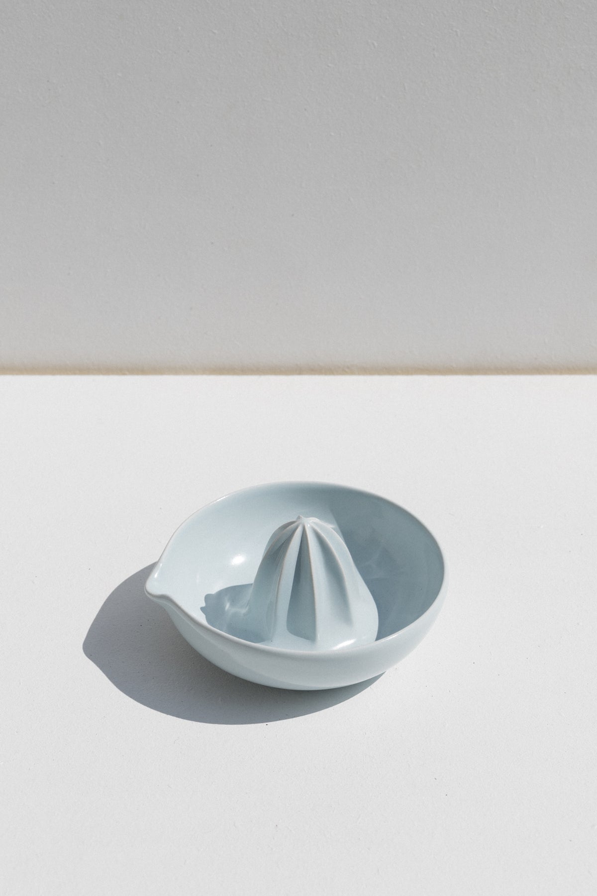 Citrus Juicer - Eggshell Blue