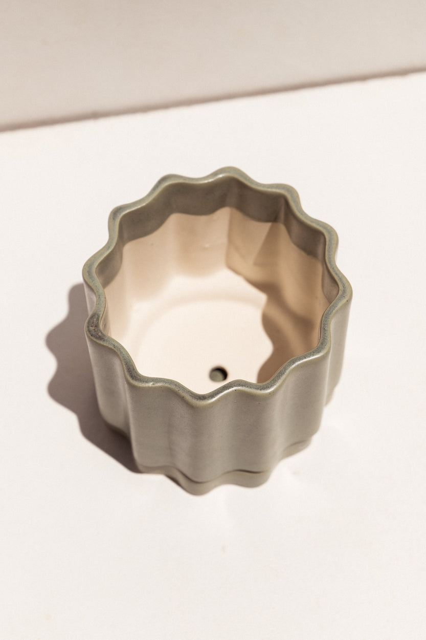 Ella Reweti Ceramic planter in bubblegum colour on Makers' Mrkt